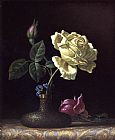 White Canvas Paintings - The White Rose